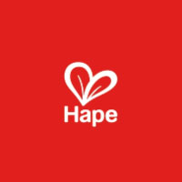 Hape Toys