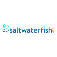 Saltwater Fish
