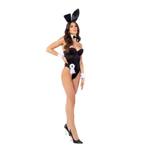Classic Playboy Bunny Women's Costume