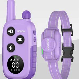 Jugbow DT-56 Professional Remote