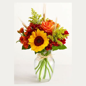 Fields of Europe® for Fall