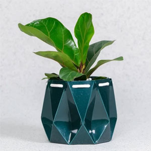 POTR Self Watering Ocean Plant Pot - Deep Green