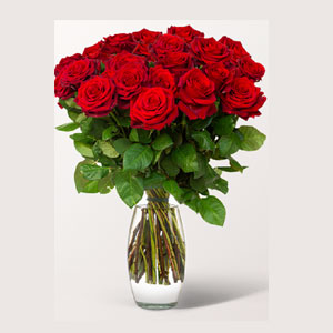 Red roses in a bunch