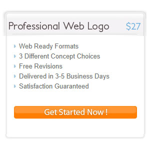 Professional Web Logo