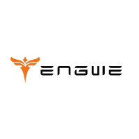 Engwe SE