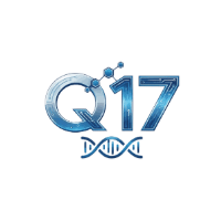 Q-17